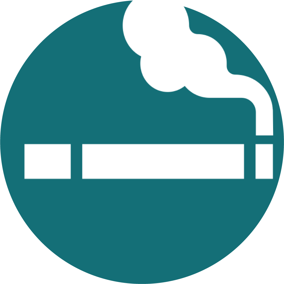 tobacco cessation icon lit cigarette icon